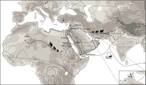 However, who would have thought, in the ancient times of about 3.5 million years ago, the camel also live in the highland forests in the cold arctic, canada. Old World Camels In A Modern World A Balancing Act Between Conservation And Genetic Improvement Abstract Europe Pmc