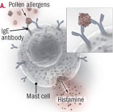 Maybe you would like to learn more about one of these? Allergy Shots Allergen Immunotherapy Harvard Health