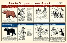 User Name Un Relevant How To Survive A Bear Attack Imgur