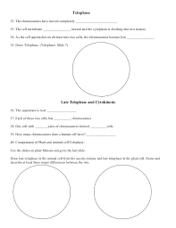 This mcq set consists of cell biology / cytology multiple choice questions from the topic cell cycle and the molecular mechanisms of regulation of cell cycle with answer key. Mitosis Activity Worksheet