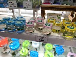 for the corner of life