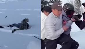 VÍDEO: Turista sofre ataque brutal de leopardo-das-neves ao se aproximar para selfie