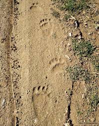 Maybe you would like to learn more about one of these? Foreas Diaxeirishs E8nikoy Parkoy Oroseiras Rodophs Deltio Typoy Ais8hth Exei Kanei Tis Teleytaies Hmeres Thn Paroysia Ths Mia Arkoyda Ston Dhmo Paggaioy Oi Armodies Yphresies Einai Enhmeres Kai Parakoloy8oyn Thn Poreia