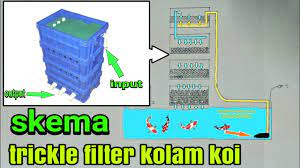 Kelebihan menggunakan ember sendiri yakni membuat filter kolam dari paralon yang ditaruh paling dalam tentunya dengan melubanginya dulu. Cara Membuat Filter Kolam Ikan Sendiri Enggak Ribet