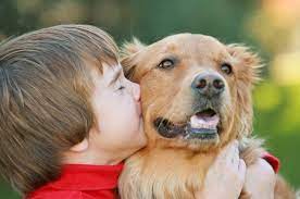 How do pets help people cope? How Pets Help People Tufts Now