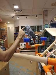 Shop petsbynature.com + save (promo: Nature Pet Centre Pet Stores 8350 Boulevard Newman Montreal Qc Phone Number