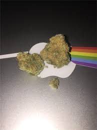 Santa Maria aka Planck Weed Strain Information