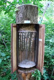 Check spelling or type a new query. Natureplus What S New At The Museum The Big Buzz