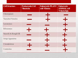 Maybe you would like to learn more about one of these? Cell Structure Review And Microscopes Ppt Video Online Download
