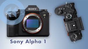 Announced in january 2021, it represents the first in a new series, a flagship body positioned above the existing a7 and a9 models. Sony Stellt High End Kamera Alpha 1 Vor Das Neue Alpha Tier Im Dslm Gehege News Mactechnews De