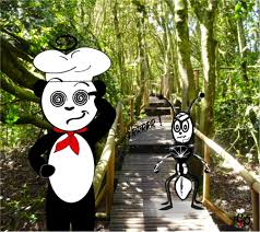 Image result for panda ant