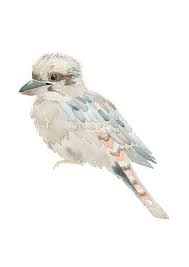 Kookaburra Fine Art Print Fine Art Prints Art Prints Art