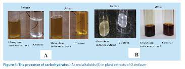 We did not find results for: Oroxylum Indicum Leaf Extracts For Screening Of Antimicrobial Properties And Phytochemicals