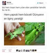 Seyr I Alem Adli Kullanicinin Ortaya Karisik Sozler Panosundaki Pin Maths Math Equations Ve Letters