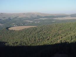 Check spelling or type a new query. Medicine Wheel National Historic Landmark Travel Wyoming