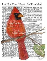 Birds Of The Air Bible Meaning American Metalcraft Bzz95b Rectangular Wire Zorro Baskets Small Black Cardinal Birds