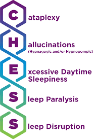 Recognizing Narcolepsy Symptoms Narcolepsy Link