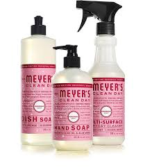 The Mrs Meyer S Clean Day Peppermint Kitchen Basics Gift Set Is An Easy Way To Introduce A Fr Meyers Cleaning Products Cleaning Day Favorite Cleaning Products
