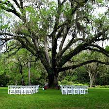 We did not find results for: Eden Gardens State Park Visit South Walton Fl