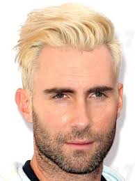 Adam levine recently dyed his hair a nice shade of draco malfoy platinum blond, a fact which displeased many of his adoring fans (noooooo, was the cry heard 'round the world). When Adam Levine Surprised Us All By Going Bleached Blonde Adam Levine Hair Hot Hair Styles Adam Levine Blonde