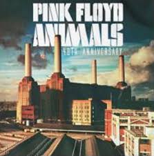 Image result for copertine dischi pink floyd