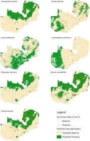 Image result for Marquesia macroura