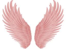 Pretty Pink Angel Wings PNG Transparent Sublimation Digital Files - Etsy