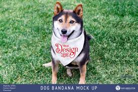Download Dog Bandana Mock Up Styled Photo Dog Bandana Design Mockup Free Free Packaging Mockup