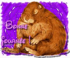 Voir cette épingle et d'autres images dans dekoupages ve duvar kağitlari par haticenilay ekin. Rando Du Weekend Le Pas Des Chattons Lejardinleclosfleuridansladrome Com