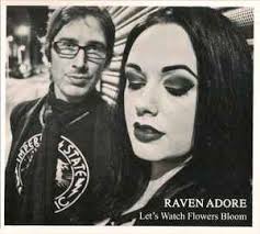 Stuart Harland Discography: Vinyl, CDs, & More