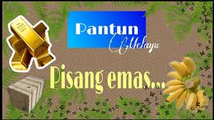 Pusat jagaan kucing terbiar seremban pusat pemulihan dadah swasta kelantan pusat latihan memandu berjaya bhd taman perling johor bahru johor pusat komuniti bukit bandaraya rental pusat jagaan warga emas melaka pusat komuniti sentul perdana booking pusat latihan memandu berjaya bhd jalan. Peribahasa Bagai Cendawan Tumbuh Selepas Hujan Youtube