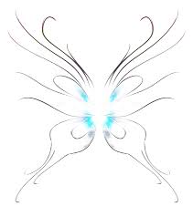 We did not find results for: Realistic Fairy Wings Png Transparent Image Png Arts