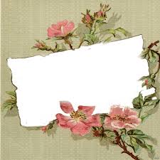 Botanical prints vintage illustration flower pictures vintage postcards flower art vintage images flower painting catherine klein art. Vintage Flower Frame Cadre Fleur Vintage Picmix