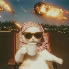 carrotcottagerr We'll have your painful ears sorted ASAP, Bramble! Hang in  there ❤️