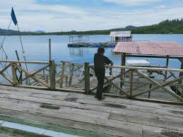 Aktiviti lain di sini ialah memancing. Lubuk Siakap Merah Kg Baru Ayer Tawar Perak