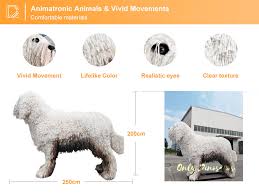 Image result for Komondor