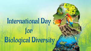 Check spelling or type a new query. International Day For Biological Diversity 2021 World Biological Diversity Day 2021 Theme Quotes Wishes Photos Images Videos School Hos