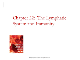 Chapter 22 The Lymphatic System And Immunity Ppt Download