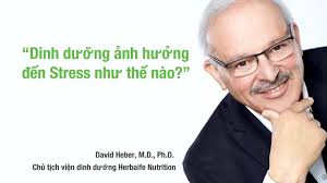 Dinh dưỡng ảnh hưởng đến Stress như thế nào?