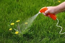After i cleaned up the oil out of my driveway from my dead push mower i began frantically looking for lawn care services online near me in the denton texas area. Weed Control Lawn Fertilization Our Owner Is On Every Job