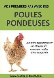 Comment Bien Choisir La Nourriture De Vos Poules Poule Pondeuse Pondeuse Et Poulailler