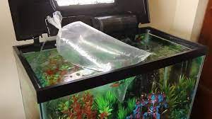The simplest method of dechlorinating water is to let the chlorine evaporate. How Long Do You Let Water Sit Before Putting Fish In Aquaria Passion