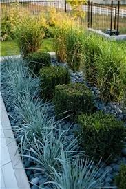 Image Result For Modern Mass Planting Vegetable Garden Design Landscaping With Rocks Modern Landscaping