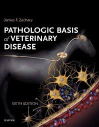 Pathologic Basis Of Veterinary Disease Free Download 6th Edition Veterinary Disease Book Free Books Online