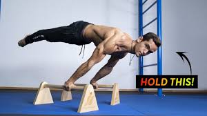 Daily Planche Routine For Beginners Merry Christmas Calisthenics Worko Calisthenics Workout Calisthenics Calisthenics Body