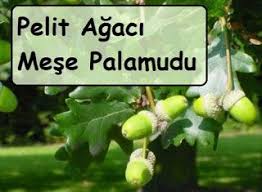 Pin On Saglik