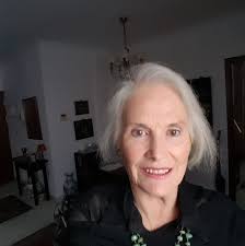 Why are there no stray cats in Sevilla?