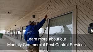 American city pest & termite, inc., is truly a family business, this is evidenced in how our employees are treated. City Pest Control