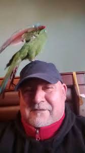 La paty cofre me grito la vida.. solo me dice : marako.jajajjajaja