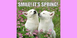 Maybe you would like to learn more about one of these? 14 Memes For Anyone Excited For Spring